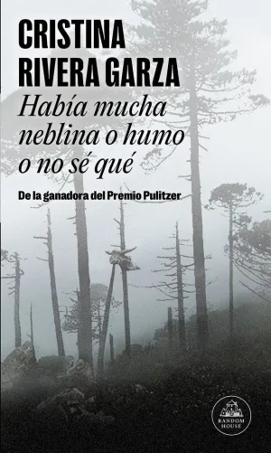 HABIA MUCHA NEBLINA O HUMO O NO SE QUE